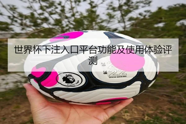 世界杯下注入口平台功能及使用体验评测