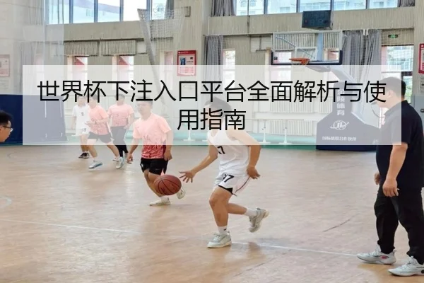 世界杯下注入口平台全面解析与使用指南