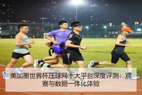 美加墨世界杯压球网十大平台深度评测：观赛与数据一体化体验