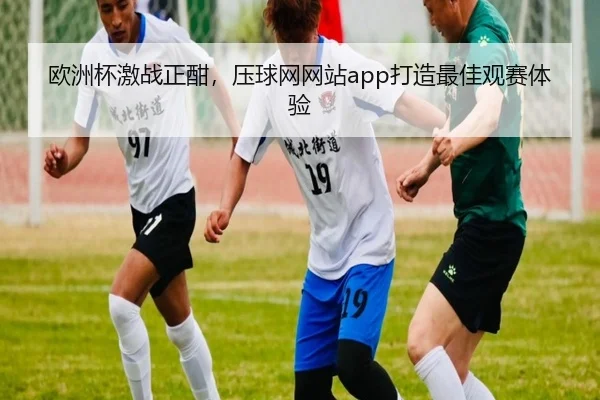 欧洲杯激战正酣，压球网网站app打造最佳观赛体验